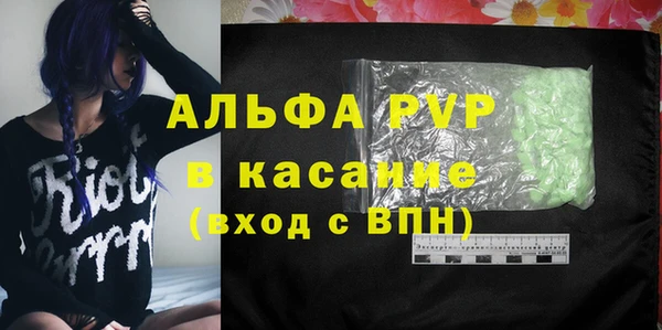 стафф Михайлов