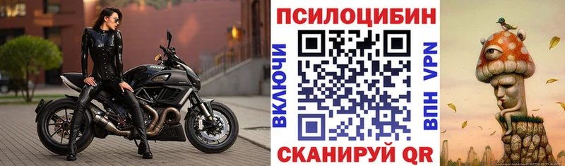 Псилоцибиновые грибы прущие грибы Нытва